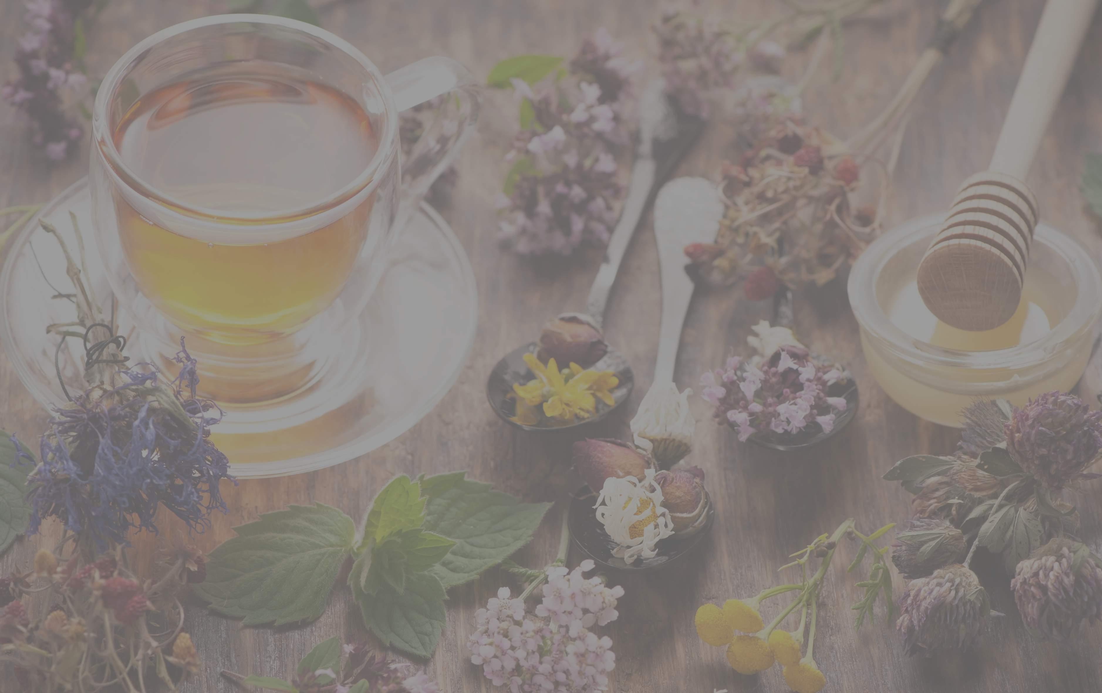 Herbal Strength Blog